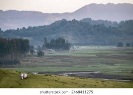 Korem